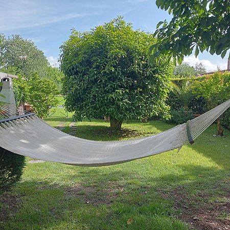 Villa Ippocastano ルッカ エクステリア 写真